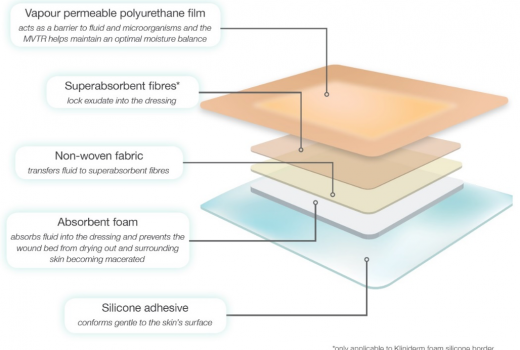 Wound Care Today | December 2024